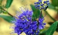 manuflor-009