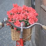 fiori-in-bicicletta-29-marzo-2018