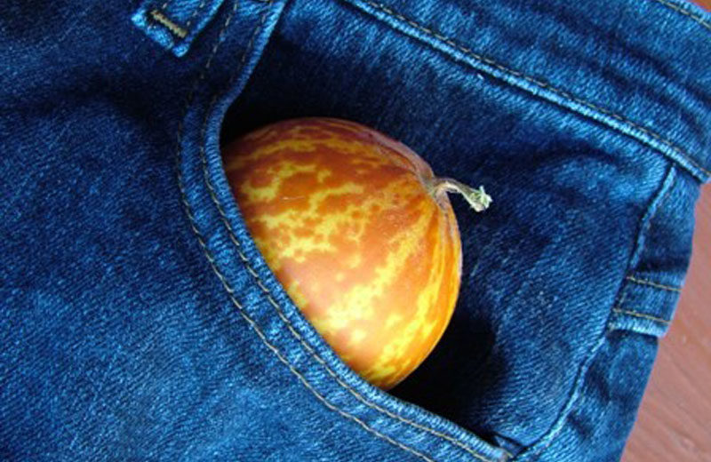 meloni-tascabili