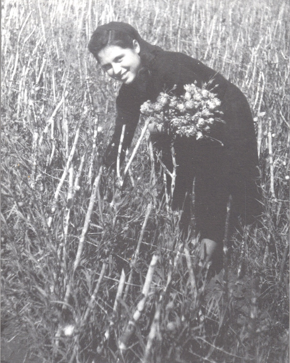Teresa Cola mentre raccoglie i garofani